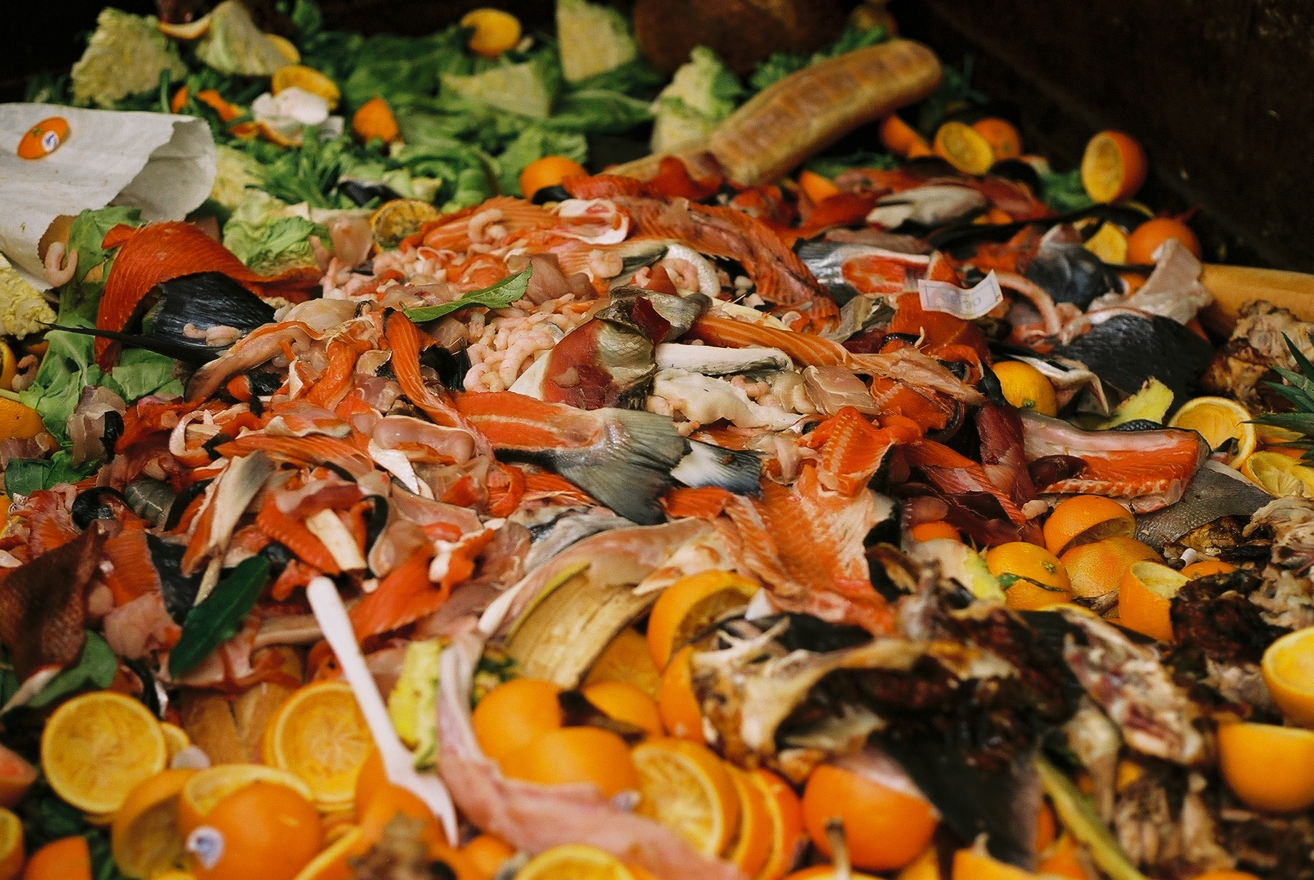 pile of discarded food