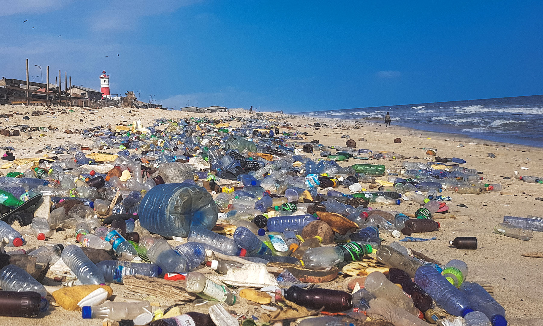 plastic debris on beach